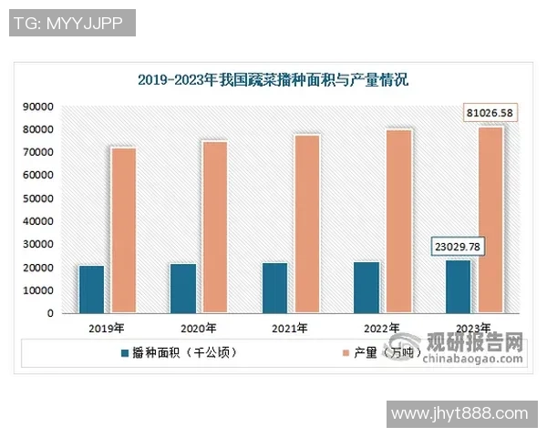 深圳羽毛球队的实力与发展路径深度分析与探讨