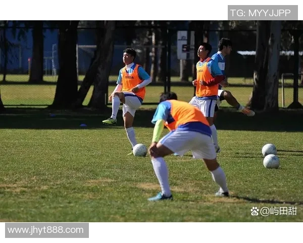 足球半岛的魅力与挑战探索这片热土上的足球文化与未来发展 足球半岛的魅力与挑战探索这片热土上的足球文化与未来发展