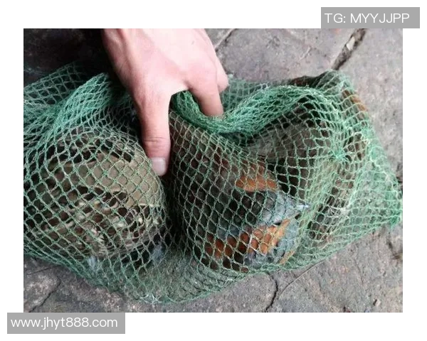 足球钓鱼的奇妙结合探讨如何在绿茵场上享受钓鱼的乐趣与激情 足球钓鱼的奇妙结合探讨如何在绿茵场上享受钓鱼的乐趣与激情