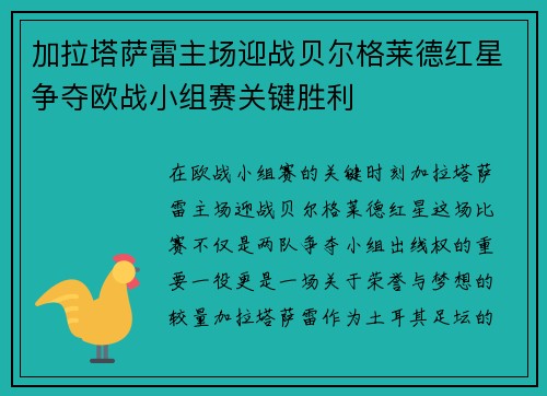 加拉塔萨雷主场迎战贝尔格莱德红星争夺欧战小组赛关键胜利